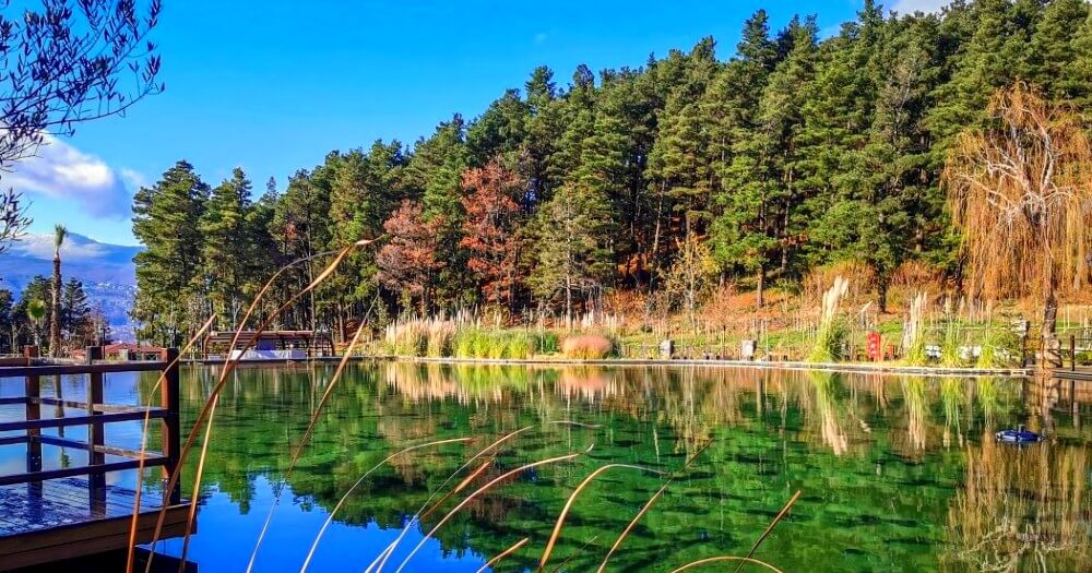 Sapanca_Tour_Photo