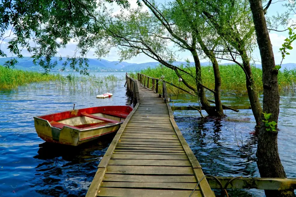 Sapanca Tour Photo 2